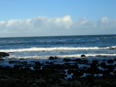 DSCN2437.JPG
