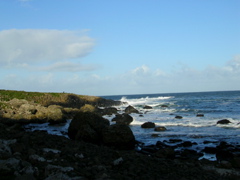 DSCN2440.JPG