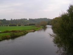 DSCN2156.JPG