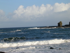 DSCN2444.JPG