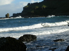 DSCN2447.JPG