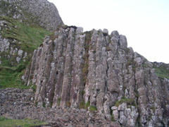 DSCN2448.JPG