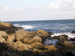 DSCN2449.JPG