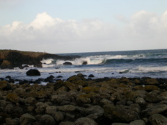 DSCN0002.JPG