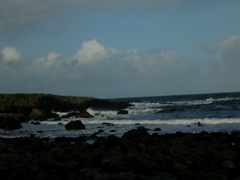 DSCN2461.JPG