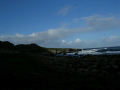 DSCN2462.JPG
