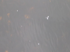 DSCN2159.JPG