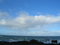 DSCN2466.JPG