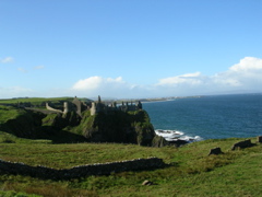 DSCN0001.JPG