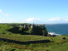 DSCN2481.JPG