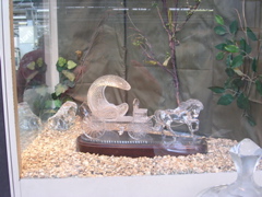 DSCN2582.JPG