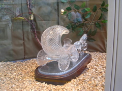 DSCN2583.JPG