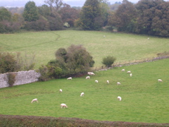 Newgrange