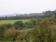 DSCN2190.JPG