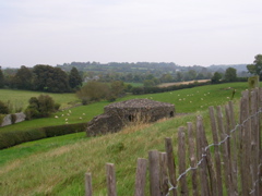 DSCN2194.JPG