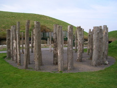 DSCN2224.JPG