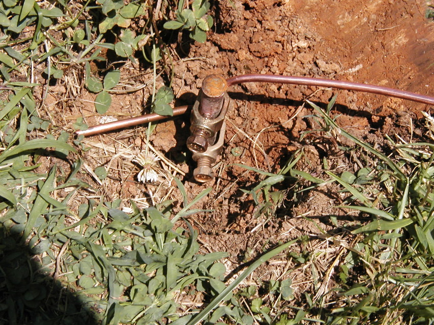 P6201386.JPG