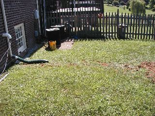 P6201390.JPG