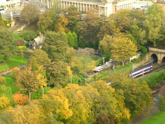 DSCN0229.JPG