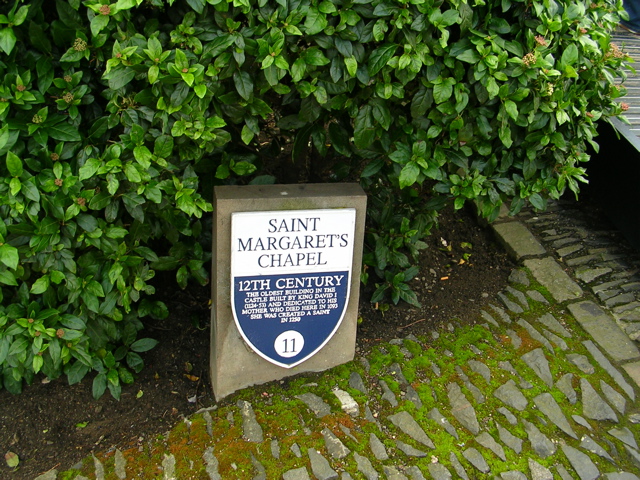 DSCN0236.JPG