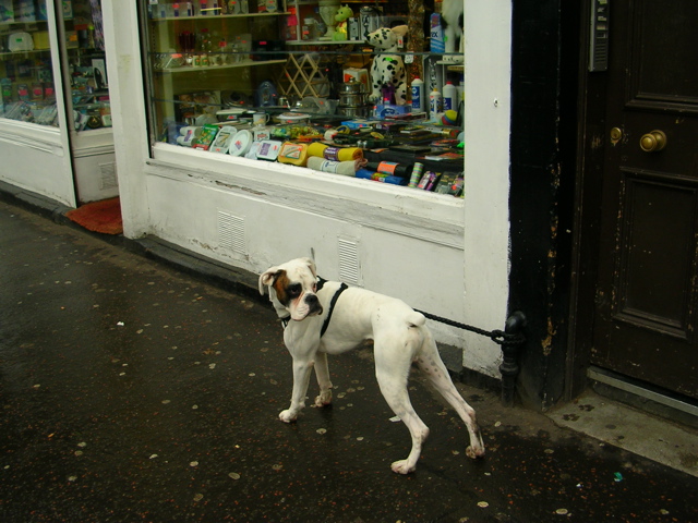 DSCN0267.JPG