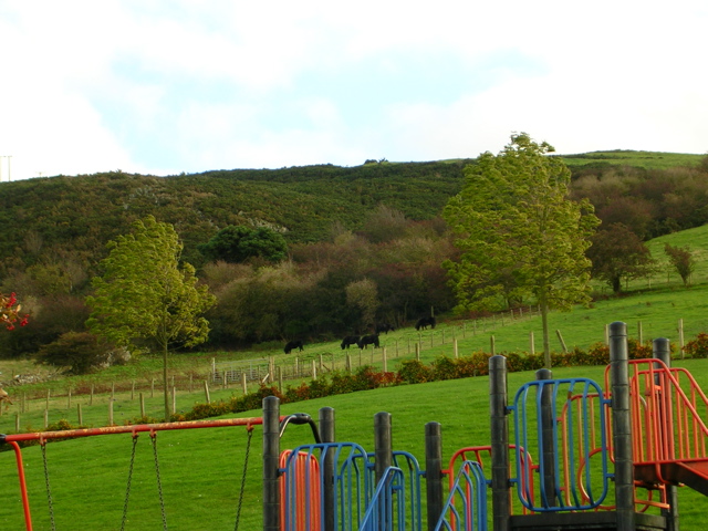 DSCN0301.JPG