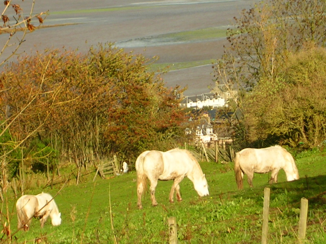 DSCN0303.JPG