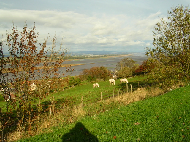 DSCN0305.JPG