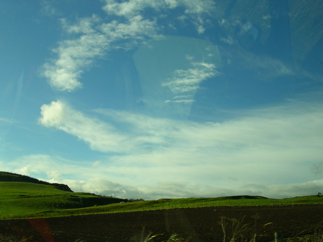 DSCN0307.JPG