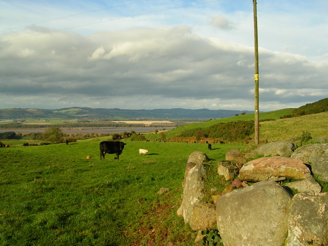 DSCN0311.JPG