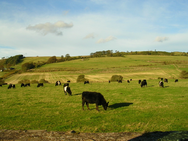 DSCN0317.JPG