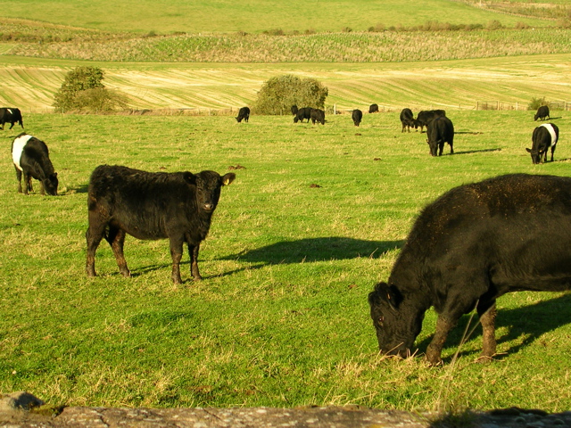 DSCN0318.JPG