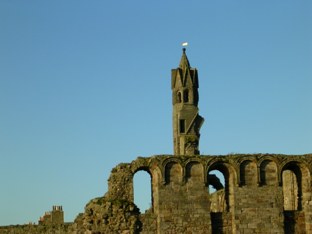 DSCN0380.JPG