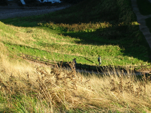 DSCN0411.JPG