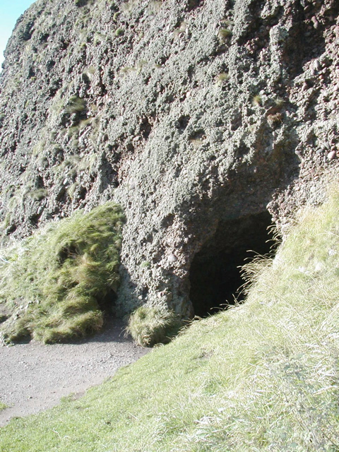 PA221540.JPG