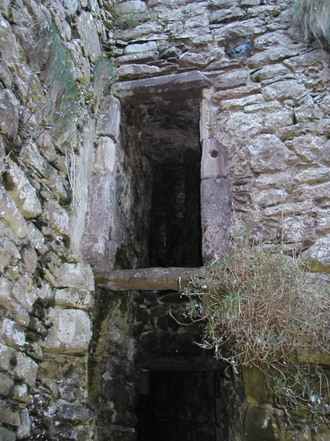 PA221546.JPG