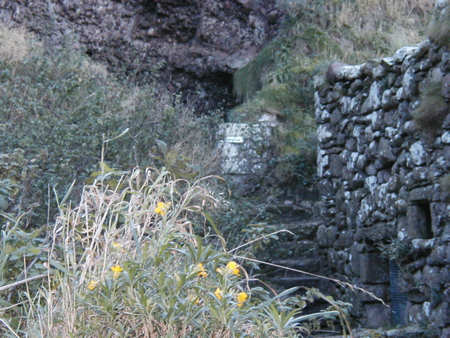 PA221550.JPG