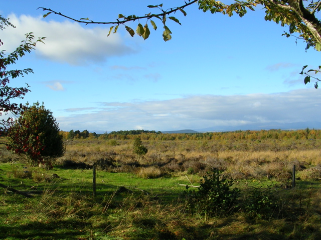 DSCN0417.JPG