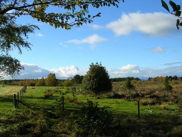 DSCN0418.JPG