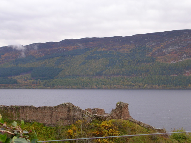DSCN0478.JPG
