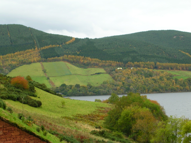 DSCN0484.JPG
