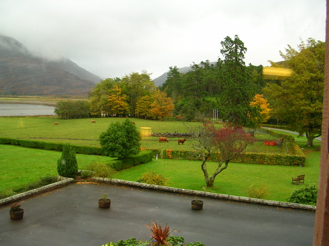 DSCN0508.JPG