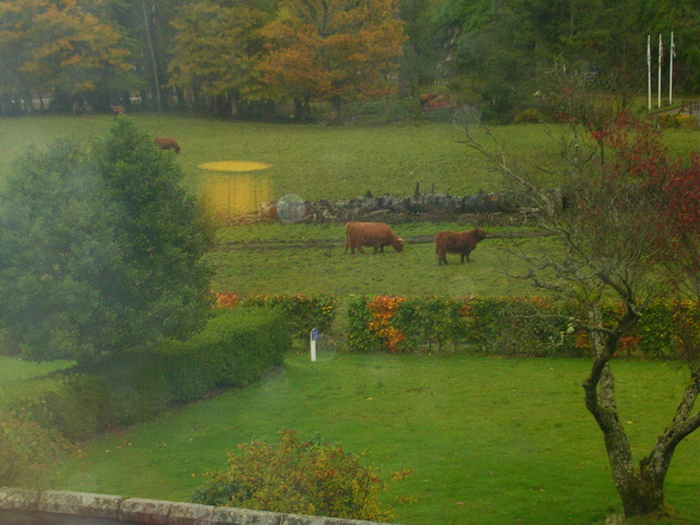 DSCN0509.JPG