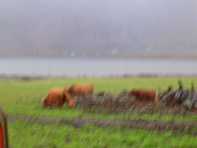 DSCN0523.JPG