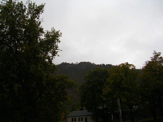 DSCN0516.JPG