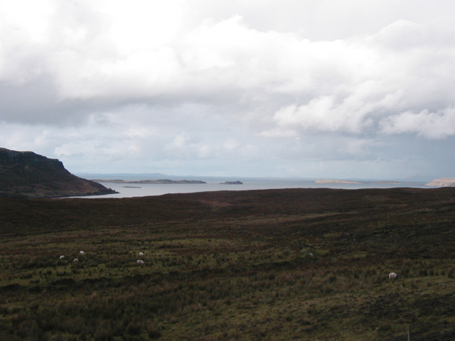 PA261570.JPG