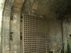DSCN0178.JPG