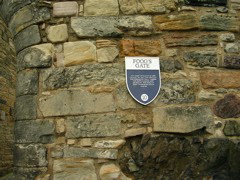 DSCN0189.JPG