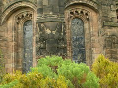 DSCN0199.JPG