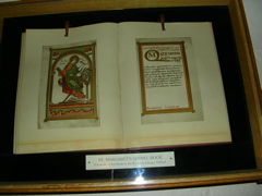 DSCN0235.JPG